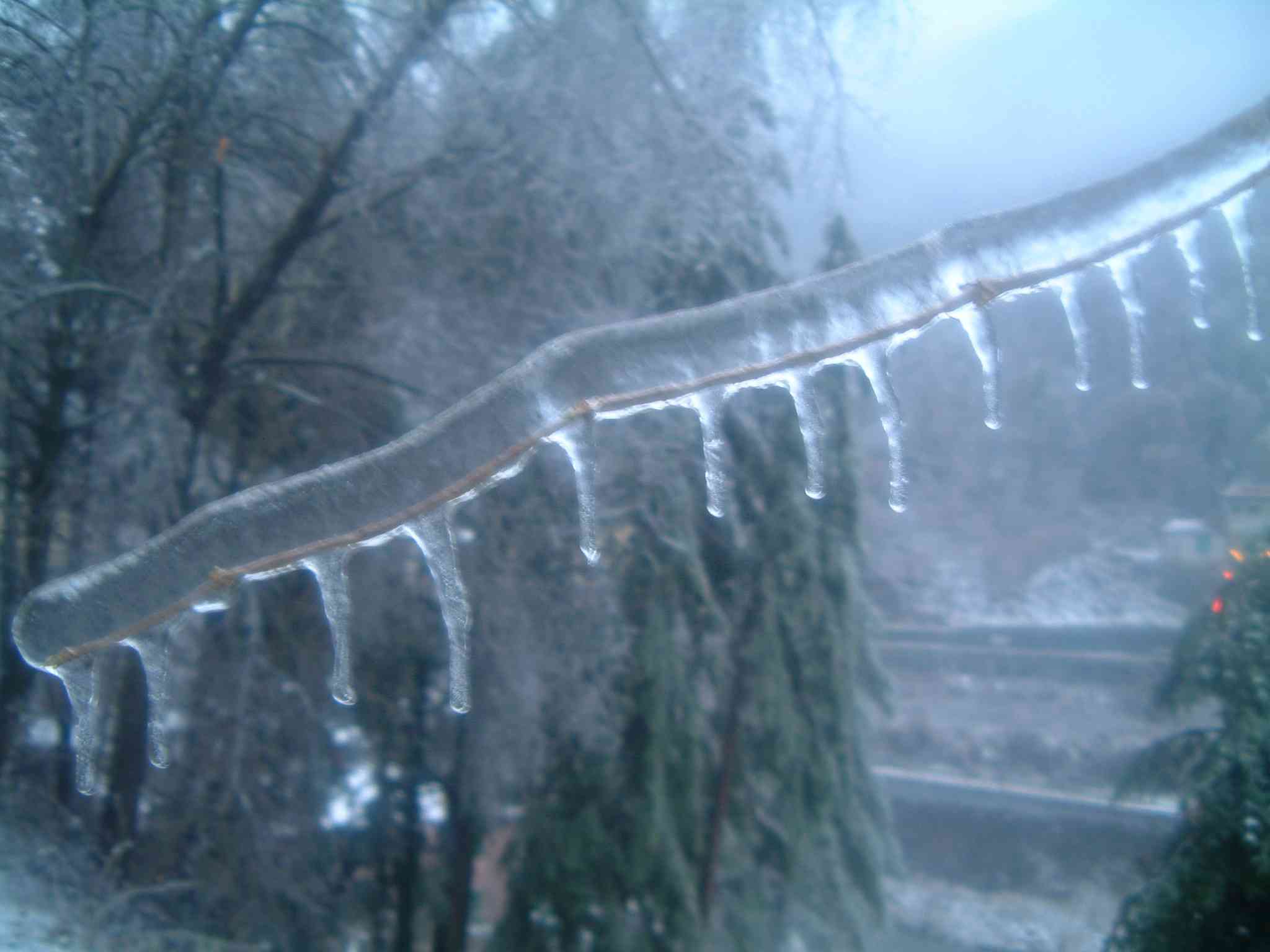  Image name: DSCF6770.JPG 
 width: 2048 pixel 
 height: 1536 pixel 
 Size: 95487 bytes 
 Click to enlarge 